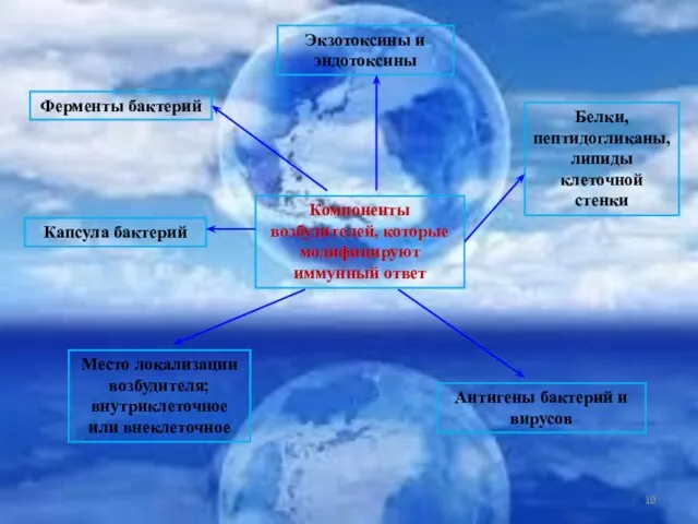 Компоненты возбудителей, которые модифицируют иммунный ответ Ферменты бактерий Капсула бактерий Место