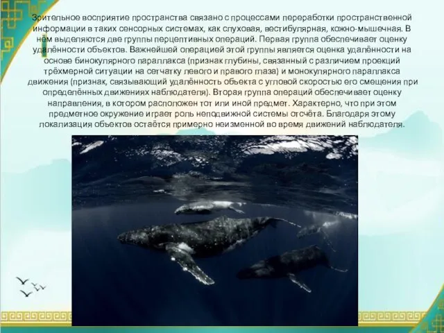 Зрительное восприятие пространства связано с процессами переработки пространственной информации в таких