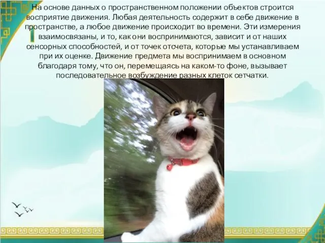 На основе данных о пространственном положении объектов строится восприятие движения. Любая