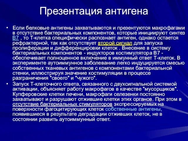 Презентация антигена Если белковые антигены захватываются и презентуются макрофагами в отсутствие