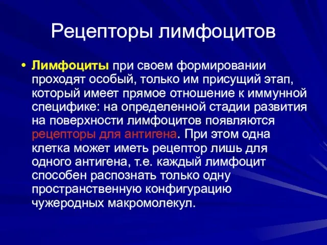 Рецепторы лимфоцитов Лимфоциты при своем формировании проходят особый, только им присущий