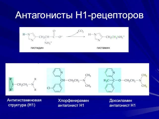 Антагонисты Н1-рецепторов Антигистаминовая структура (Н1) Хлорфенирамин антагонист Н1 Доксиламин антагонист Н1