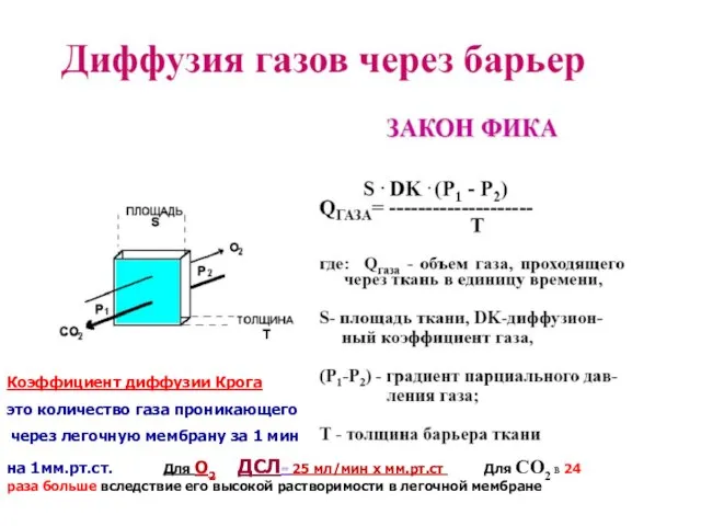 Коэффициент диффузии Крога это количество газа проникающего через легочную мембрану за