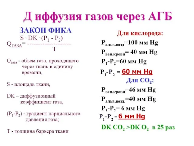 Р1-Р2 = 60 мм Hg Р1-Р2 = 6 мм Hg