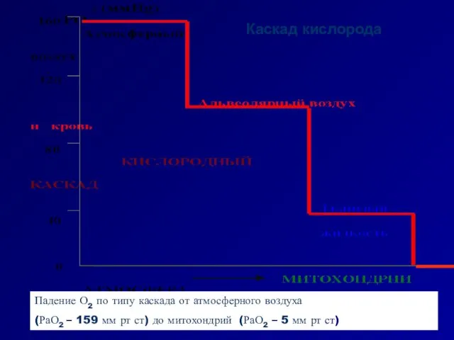 Каскад кислорода Падение О2 по типу каскада от атмосферного воздуха (РаО2