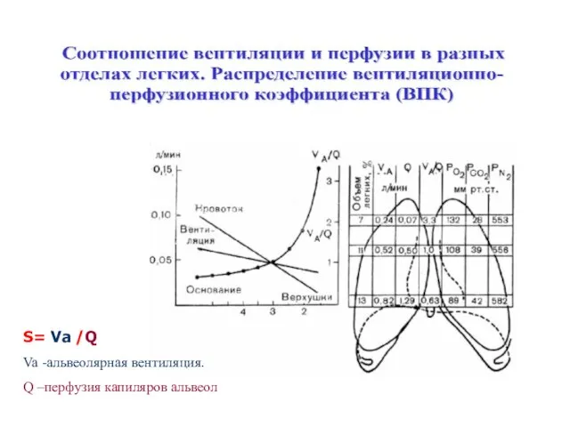 S= Va /Q Va -альвеолярная вентиляция. Q –перфузия капиляров альвеол