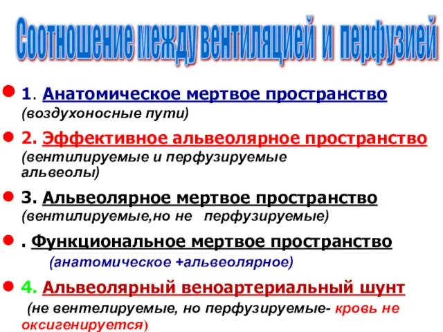 1. Анатомическое мертвое пространство (воздухоносные пути) 2. Эффективное альвеолярное пространство (вентилируемые