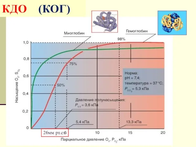 КДО (КОГ) 26мм рт.ст.