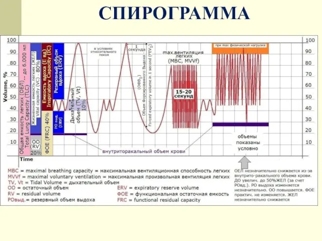 СПИРОГРАММА