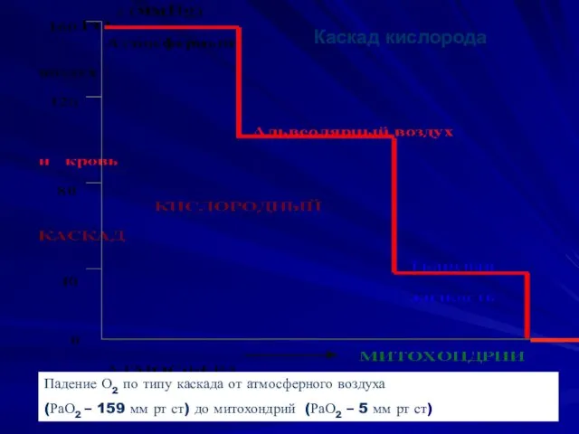 Каскад кислорода Падение О2 по типу каскада от атмосферного воздуха (РаО2