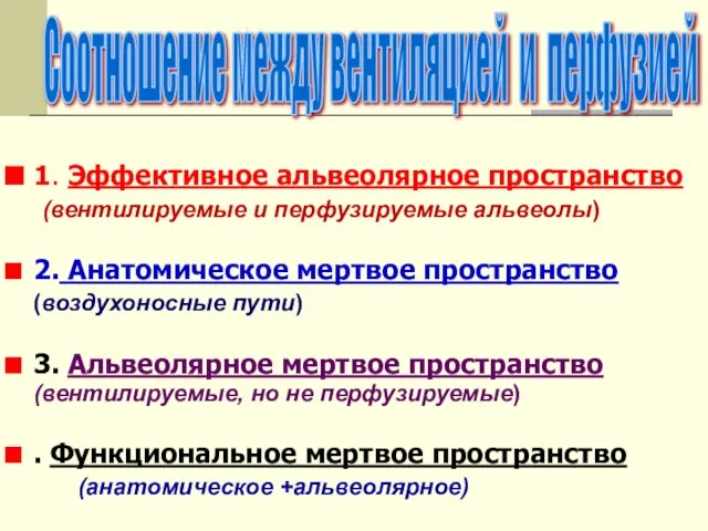 1. Эффективное альвеолярное пространство (вентилируемые и перфузируемые альвеолы) 2. Анатомическое мертвое