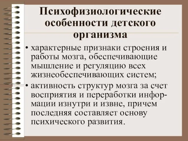 Психофизиологические особенности детского организма характерные признаки строения и работы мозга, обеспечивающие