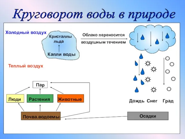 Холодный воздух Теплый воздух Пар Кристаллы льда Капли воды Облако переносится