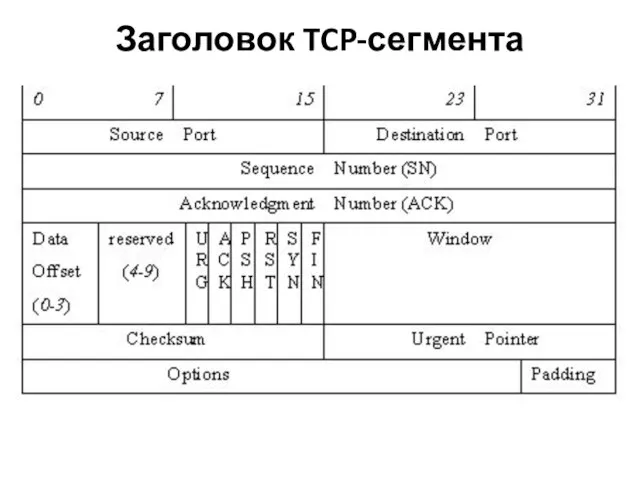 Заголовок TCP-сегмента