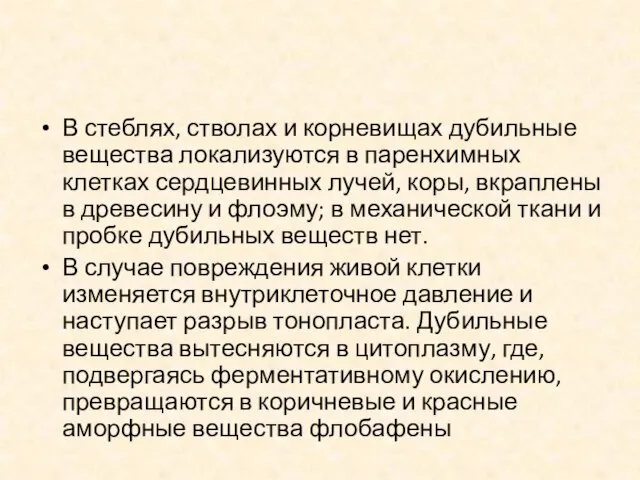 В стеблях, стволах и корневищах дубильные вещества локализуются в паренхимных клетках