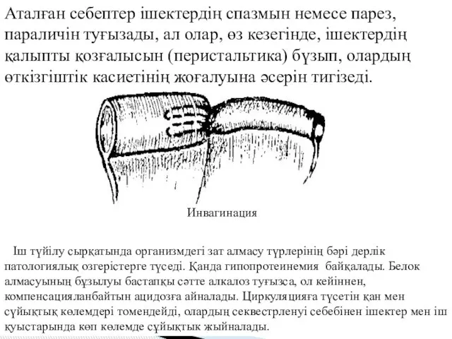 Аталған себептер ішектердің спазмын немесе парез, параличін туғызады, ал олар, өз