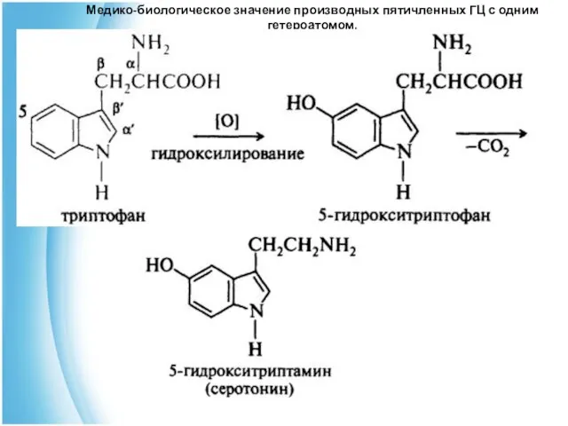 Медико-биологическое значение производных пятичленных ГЦ с одним гетероатомом.