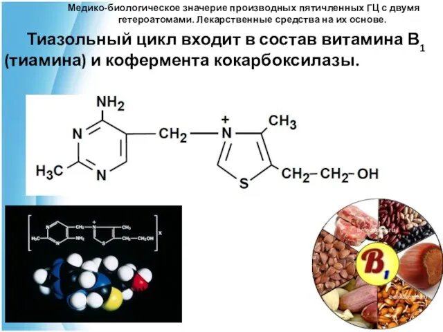 Медико-биологическое значерие производных пятичленных ГЦ с двумя гетероатомами. Лекарственные средства на