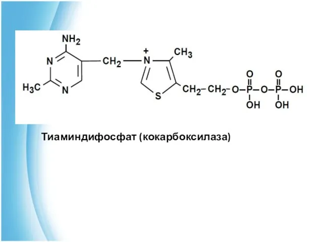 Тиаминдифосфат (кокарбоксилаза)