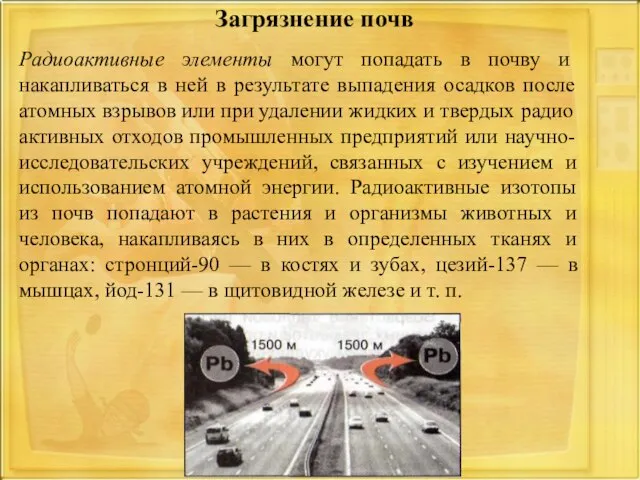 Радиоактивные элементы могут попадать в почву и накапливаться в ней в