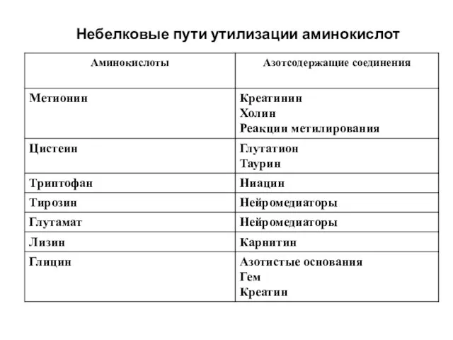 Небелковые пути утилизации аминокислот