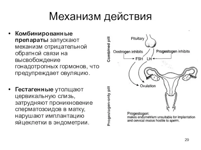 Механизм действия Комбинированные препараты запускают механизм отрицательной обратной связи на высвобождение