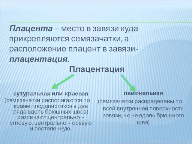 Плацента – место в завязи куда прикрепляются семязачатки, а расположение плацент