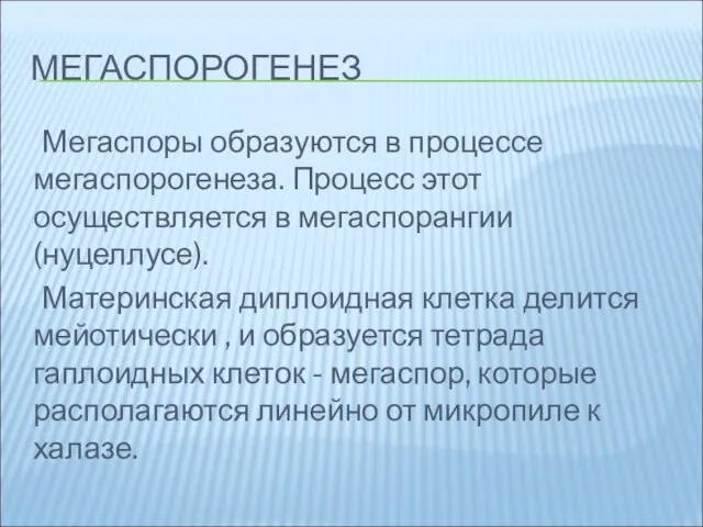 МЕГАСПОРОГЕНЕЗ Мегаспоры образуются в процессе мегаспорогенеза. Процесс этот осуществляется в мегаспорангии