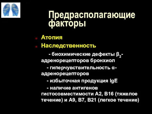 Предрасполагающие факторы Атопия Наследственность - биохимические дефекты β2-адренорецепторов бронхиол - гиперчувствительность