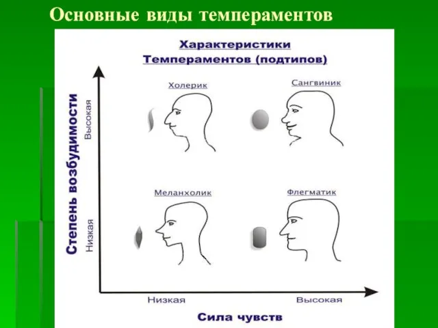 Основные виды темпераментов