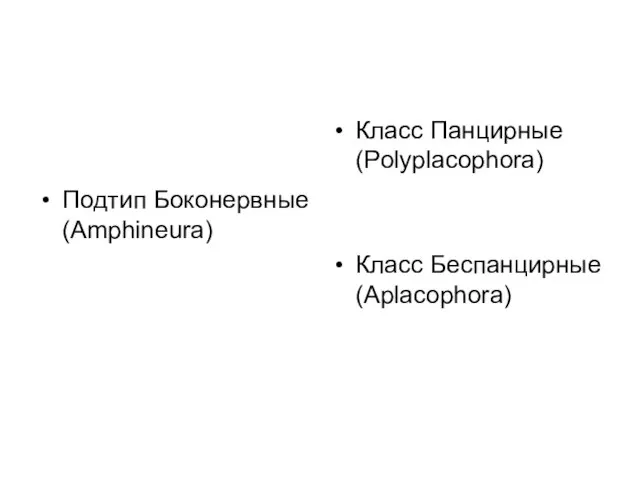 Подтип Боконервные (Amphineura) Класс Панцирные (Polyplacophora) Класс Беспанцирные (Aplacophora)