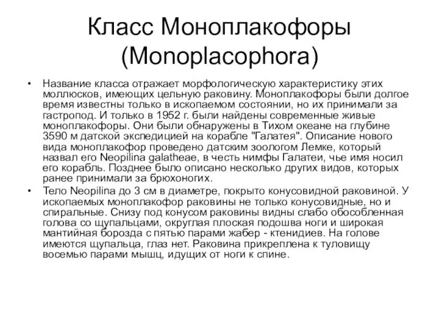 Класс Моноплакофоры (Monoplacophora) Название класса отражает морфологическую характеристику этих моллюсков, имеющих