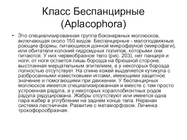 Класс Беспанцирные (Aplacophora) Это специализированная группа боконервных моллюсков, включающая около 150