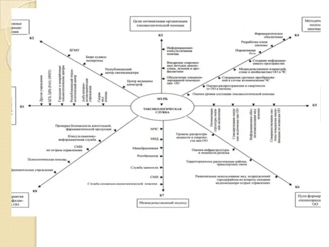 Когнитивная карта организации токсикологической службы
