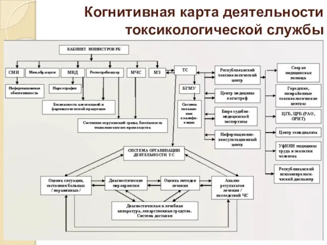 Когнитивная карта деятельности токсикологической службы