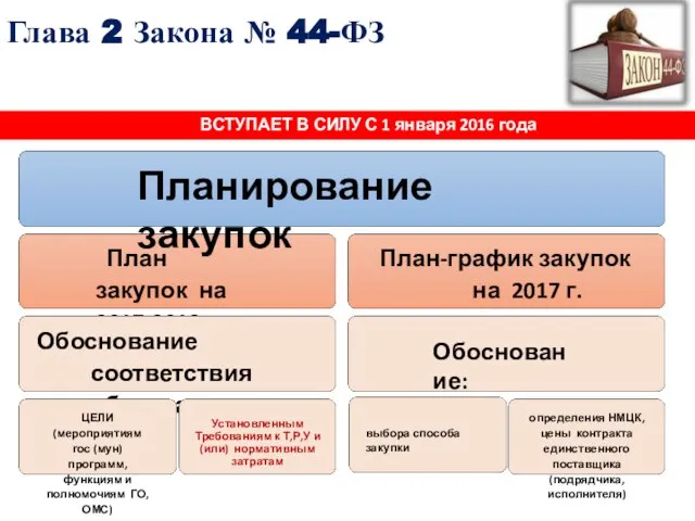 Глава 2 Закона № 44-ФЗ План закупок на 2017-2019 гг. Обоснование