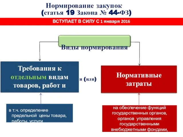 Требования к отдельным видам товаров, работ и услуг Нормативные затраты Нормирование