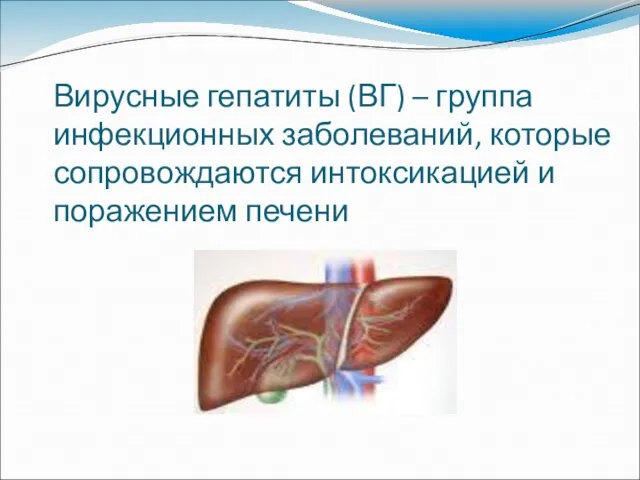 Вирусные гепатиты (ВГ) – группа инфекционных заболеваний, которые сопровождаются интоксикацией и поражением печени