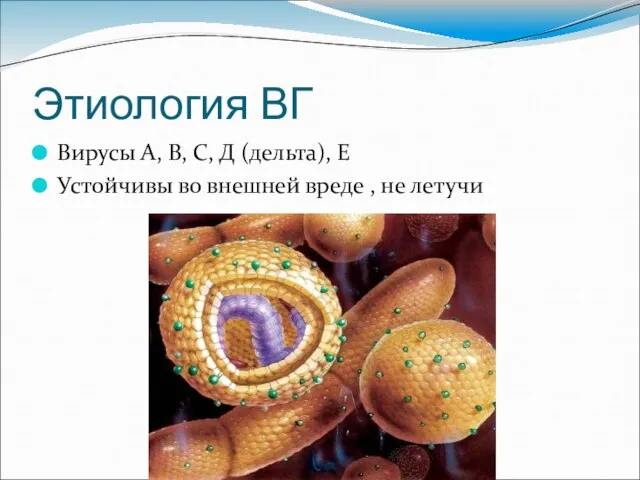 Этиология ВГ Вирусы А, В, С, Д (дельта), Е Устойчивы во внешней вреде , не летучи