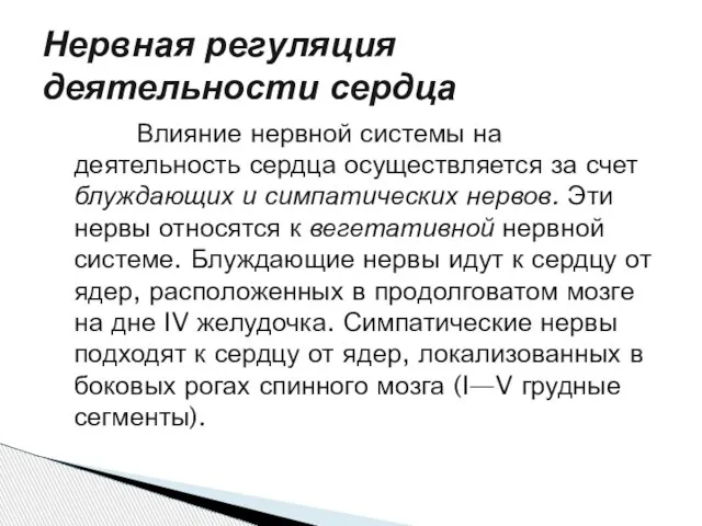 Нервная регуляция деятельности сердца Влияние нервной системы на деятельность сердца осуществляется