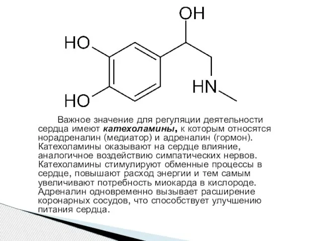 Важное значение для регуляции деятельности сердца имеют катехоламины, к которым относятся