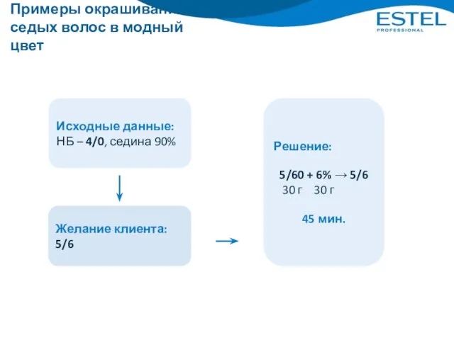 Примеры окрашивания седых волос в модный цвет Исходные данные: НБ –