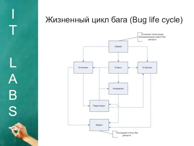 I T L A B S Жизненный цикл бага (Bug life cycle)