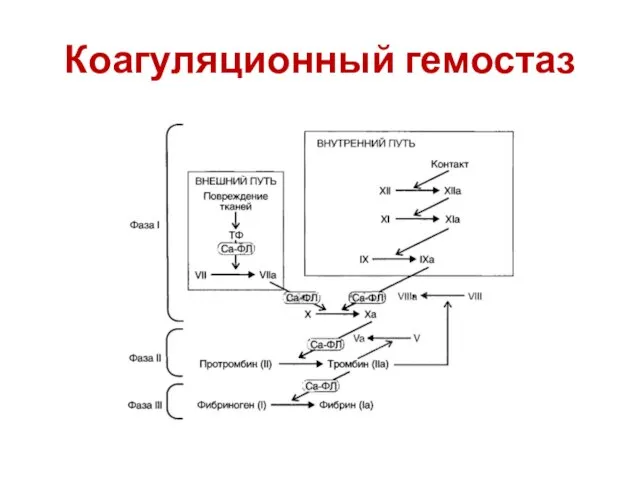 Коагуляционный гемостаз