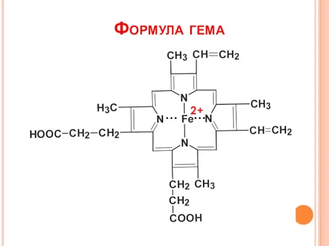 Формула гема 2+ 2+ … …