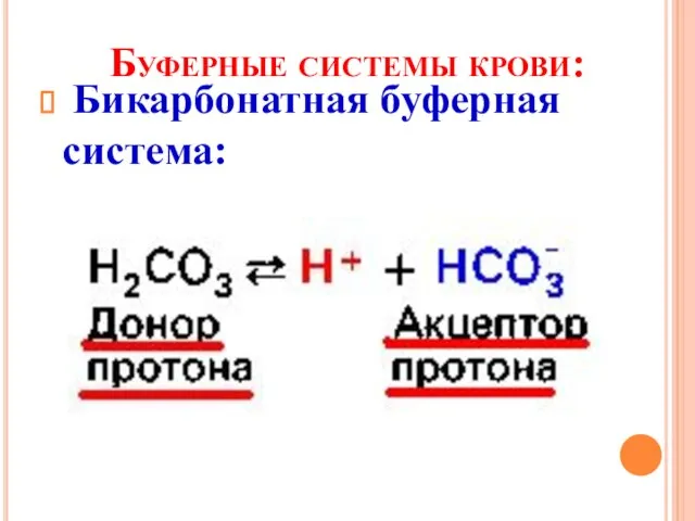 Буферные системы крови: Бикарбонатная буферная система: