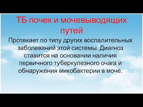 ТБ почек и мочевыводящих путей Протекает по типу других воспалительных заболеваний