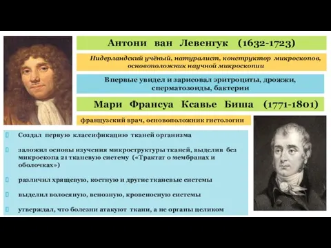 Антони ван Левенгук (1632-1723) Нидерландский учёный, натуралист, конструктор микроскопов, основоположник научной