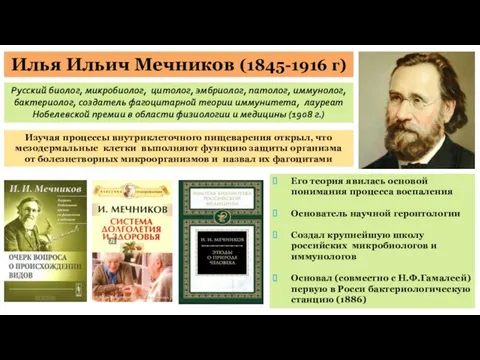 Илья Ильич Мечников (1845-1916 г) Русский биолог, микробиолог, цитолог, эмбриолог, патолог,