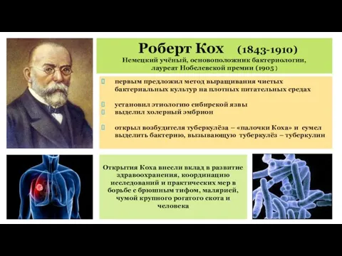 Роберт Кох (1843-1910) Немецкий учёный, основоположник бактериологии, лауреат Нобелевской премии (1905